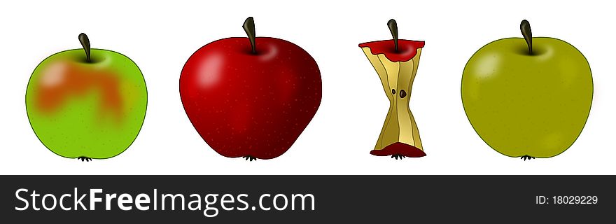 Apple core and three different varieties of apples. Apple core and three different varieties of apples.