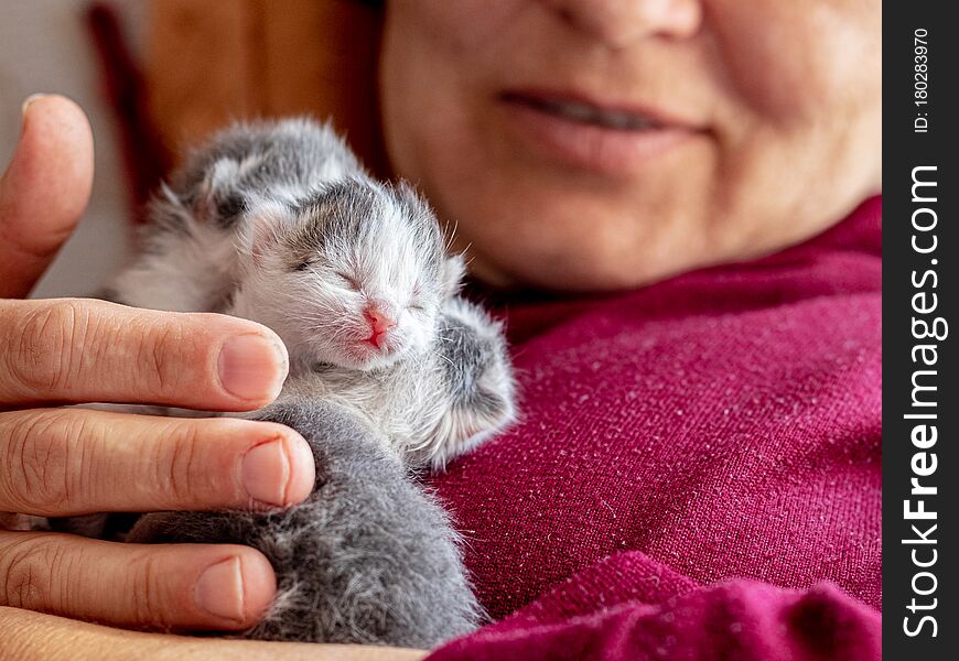 Woman holding little newborn kittens in her arms_