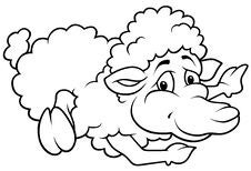 Laying Sheep Stock Photo Laying Sheep Stock Photo