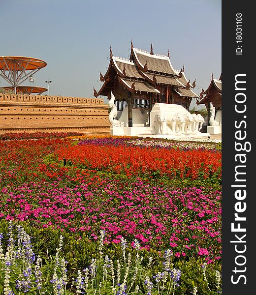 Landscape of royal flower garden at chiangmai thailand.