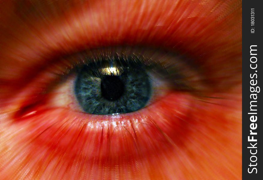 Close up of an eye with focal zoom effect. Close up of an eye with focal zoom effect.