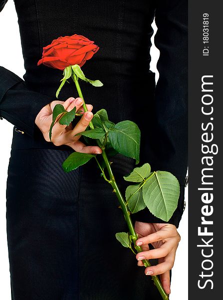 Girl in black with red rose. Isolated on white.