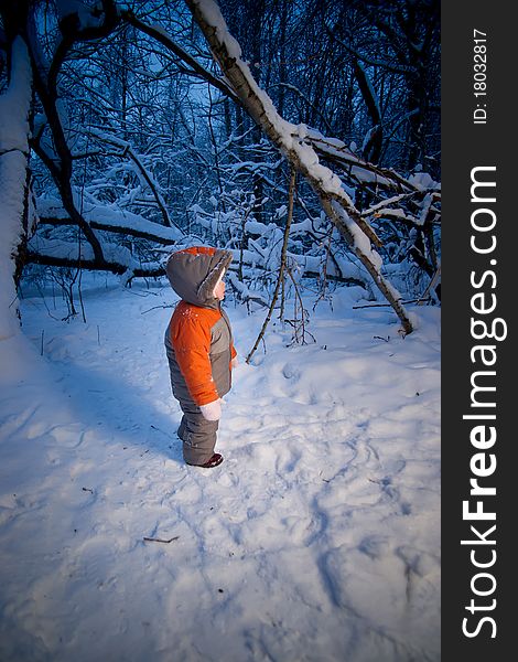 Baby Walking In Evening Park, Look To Side