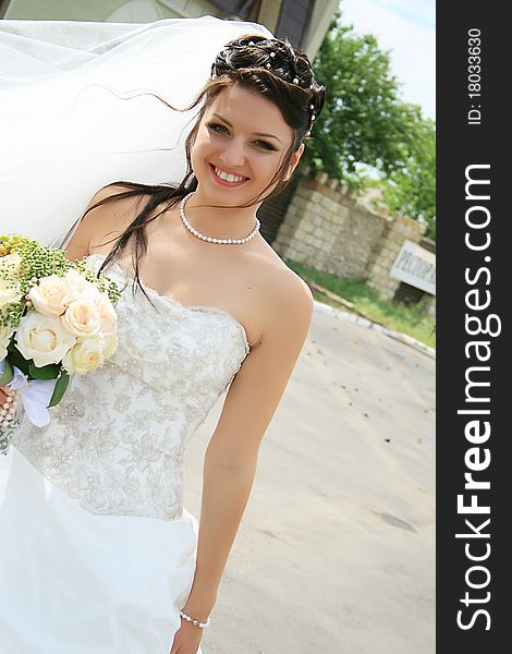 Beautiful young bride with long brown hair