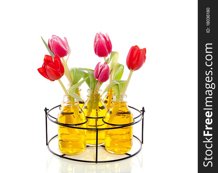 Pink and red tulips in little glass vases with yellow liquid in an iron black rack isolated over white