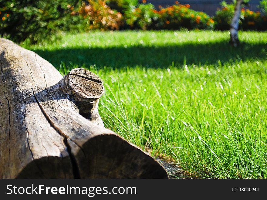 Relaxing outdoors on the wooden trunk