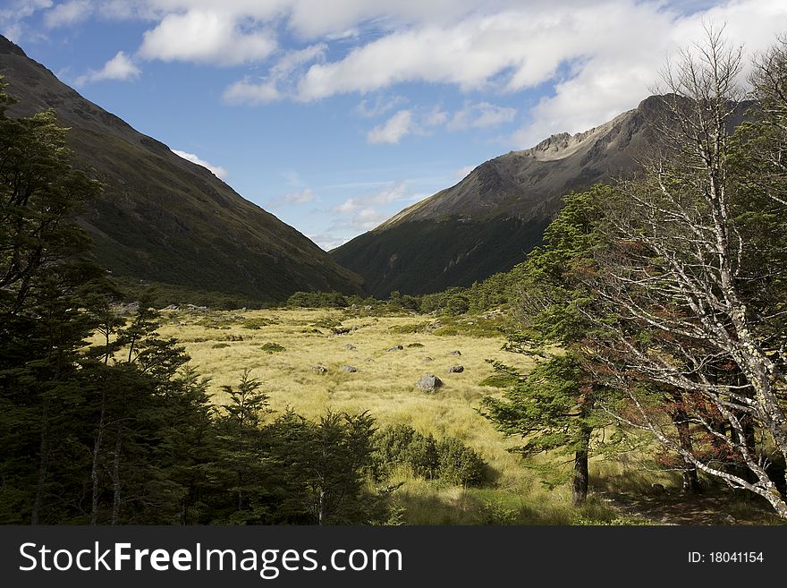View from Upper Travers Hut - Travers Valley, Nelson Lakes National Park