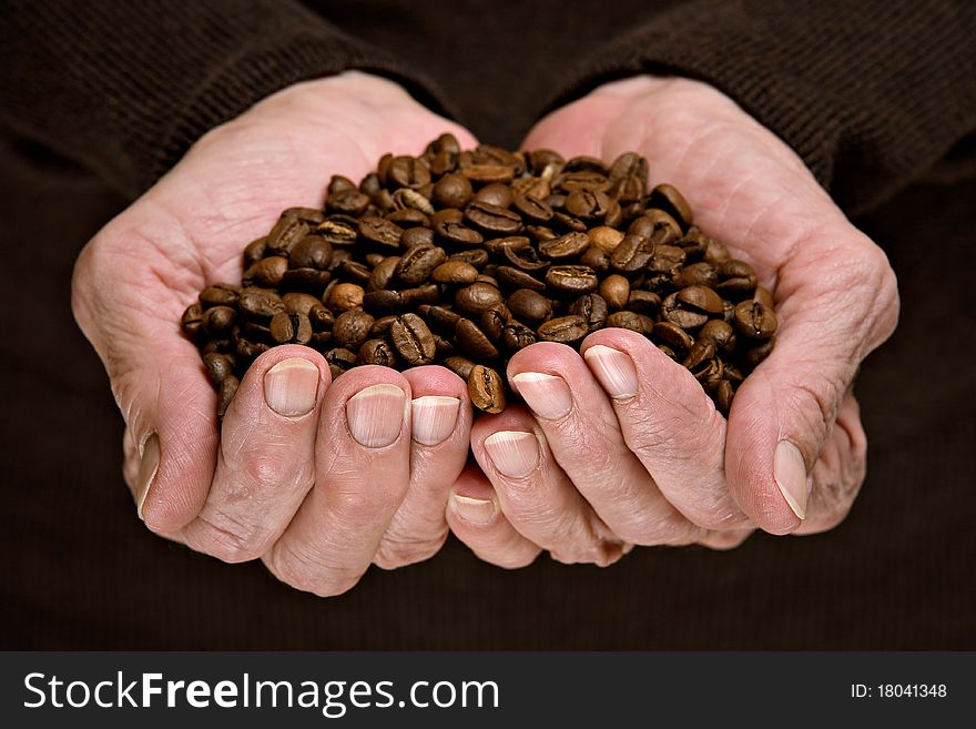 Roasted coffee beans in senior woman hands