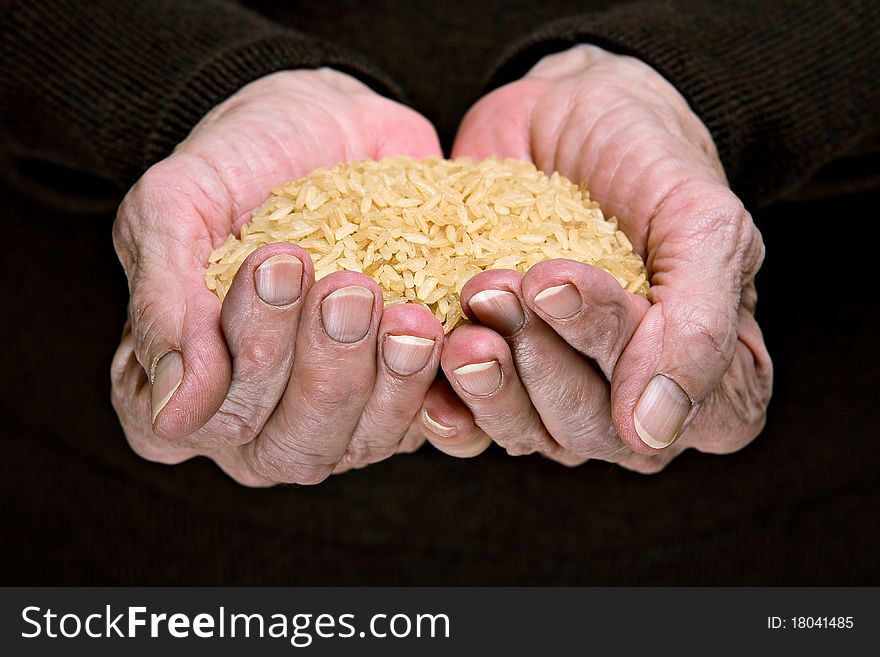 Brown rice in senior woman hands - agriculture concept