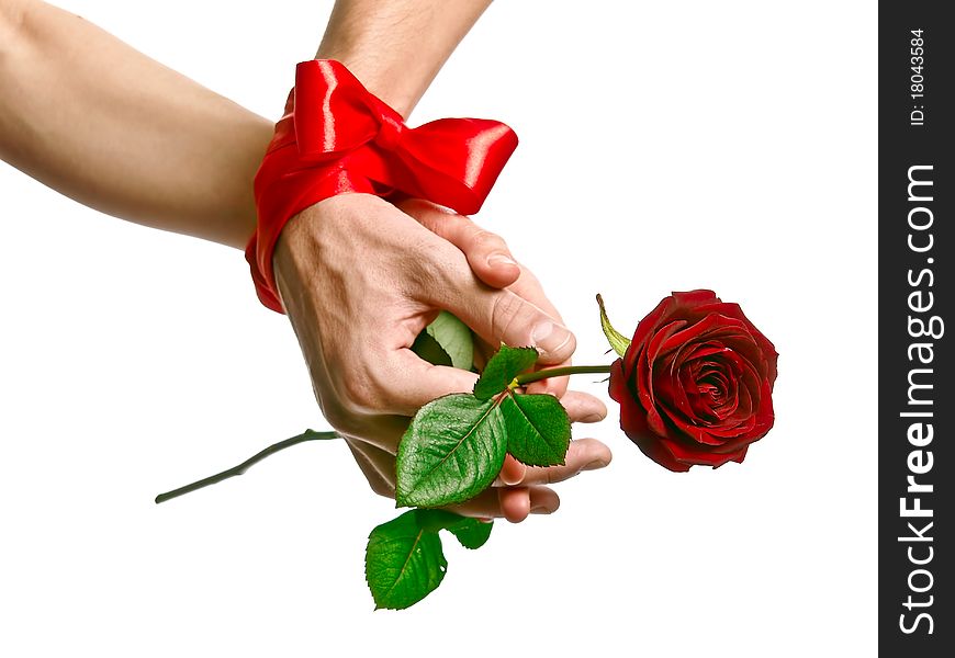 Man`s and woman`s hands are binding by crimson ribbon with rose. Man`s and woman`s hands are binding by crimson ribbon with rose