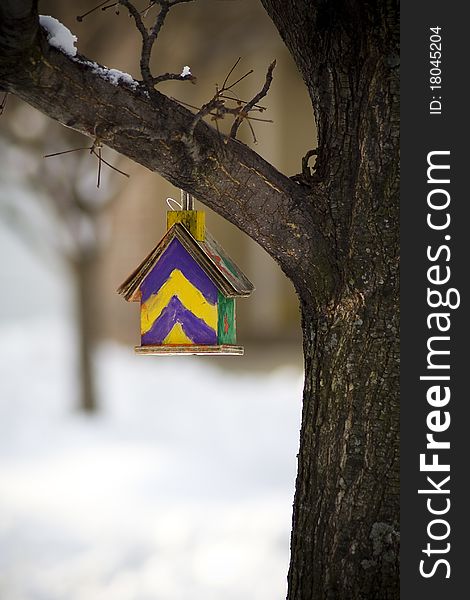 Bird House hanging on a tree. Bird House hanging on a tree.
