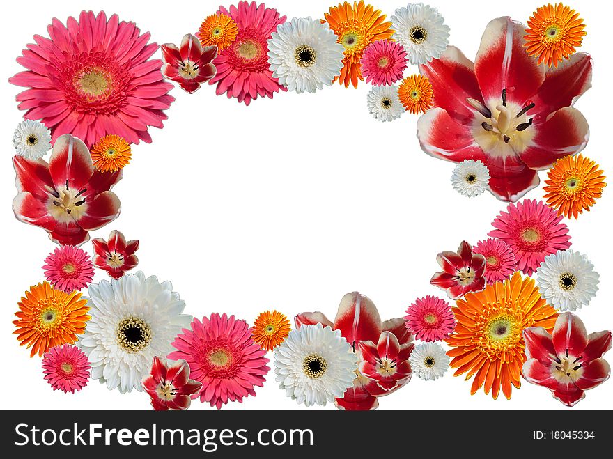 Photo frame fron flower on white background.