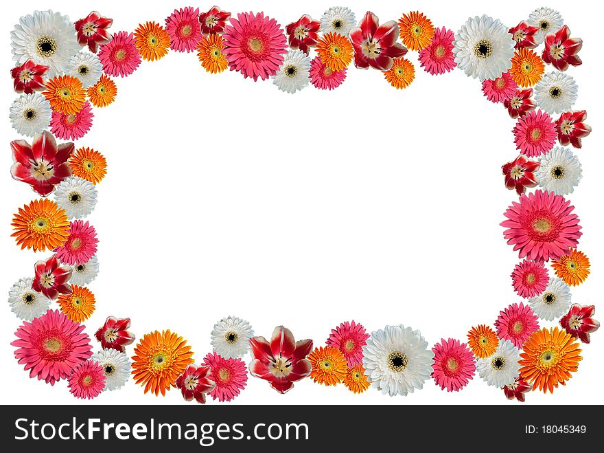 Photo frame fron flower on white background.