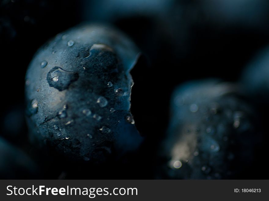 Fresh blueberries with water drops taken with a macro in a horizontal orientation