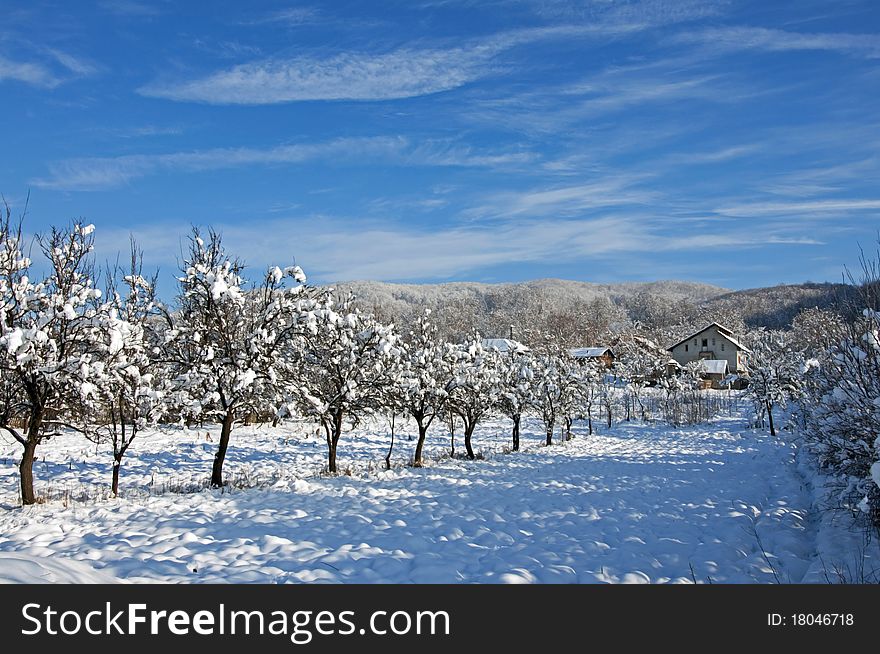 Winter Household Near Forest