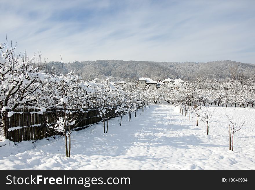 Snowy village hotel in winter orchard near alpine forest