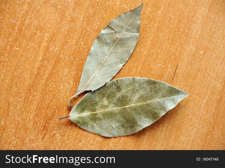 An image of a green bay leaves