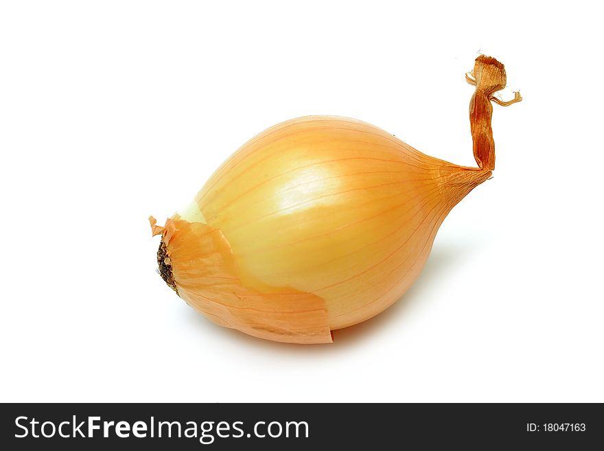 An image of an onion on white background