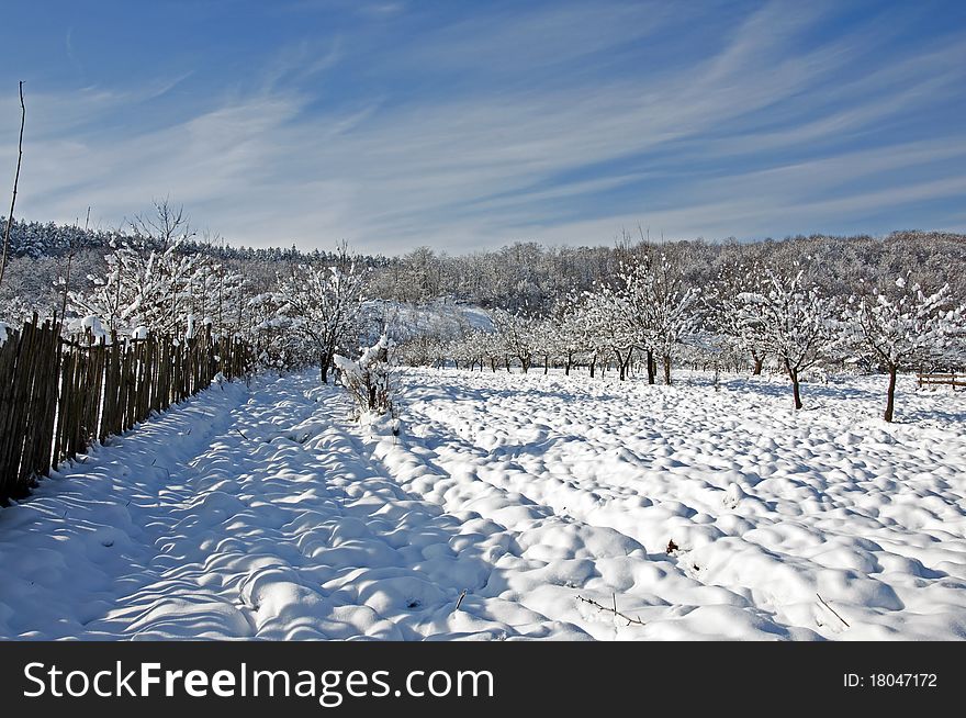 Plowed snow on winter orchard bounded by poor wooden fence