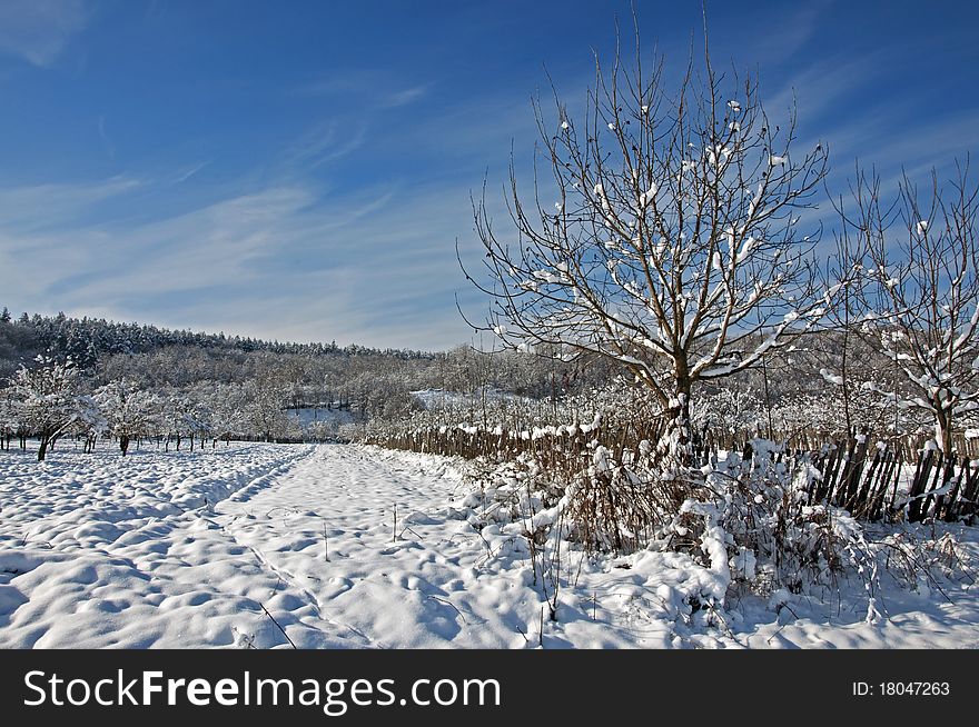 Plowed snow on agriculture land