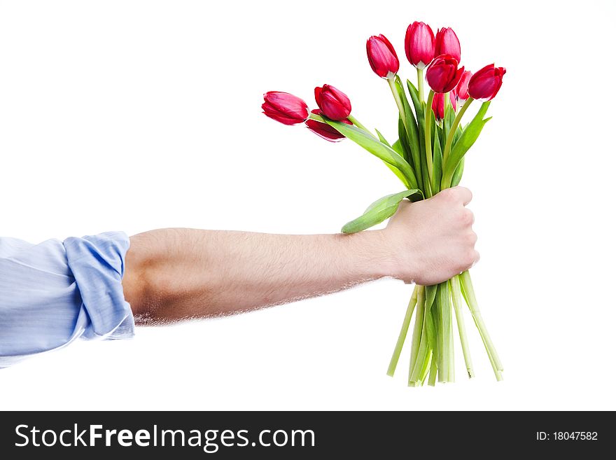 An image of an arm with red tulips
