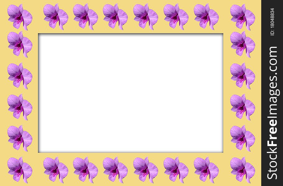 Orchid  Frame