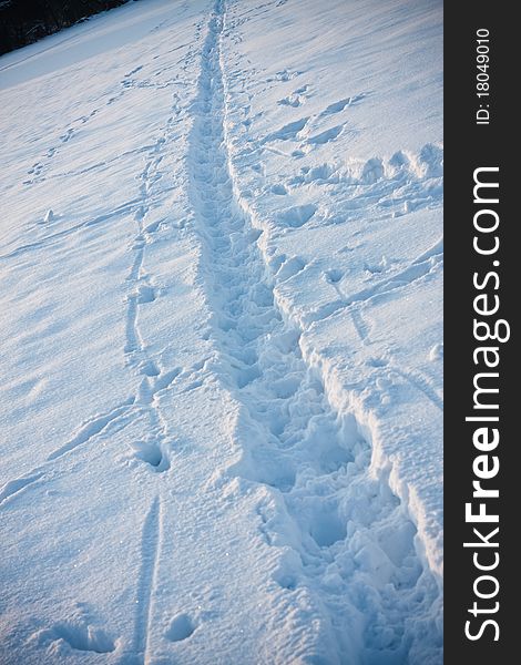 Foot mark in snow