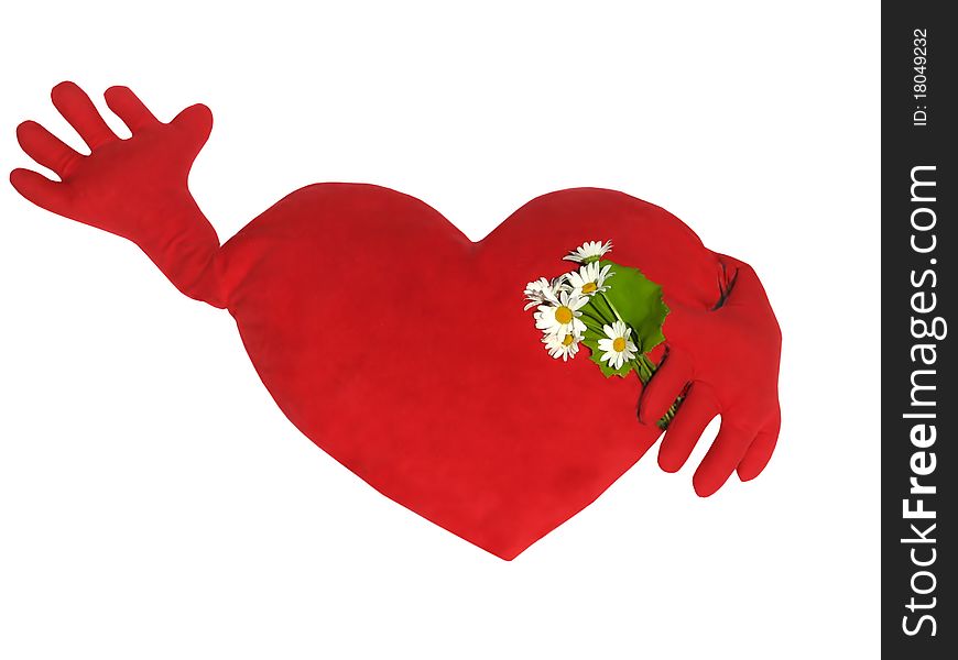 Heart With Camomiles