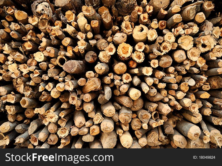 Piles of wood like a mountain