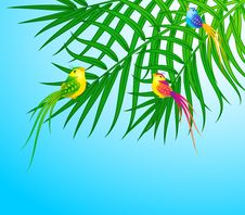 Bird On Palm With Flower Royalty Free Stock Photos