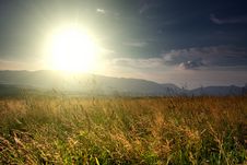 Summer Landscape Field Royalty Free Stock Image Summer Landscape Field Royalty Free Stock Image
