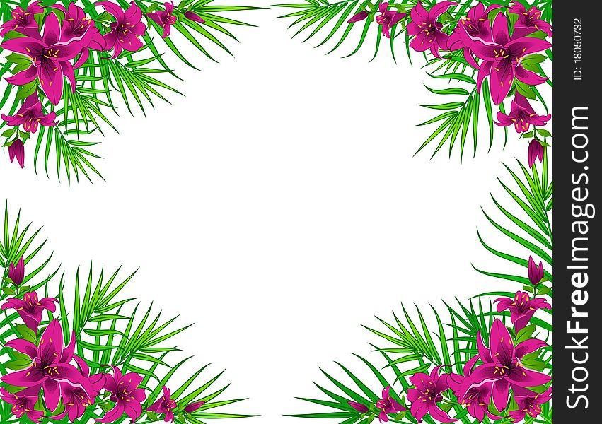 Tropical Lillies