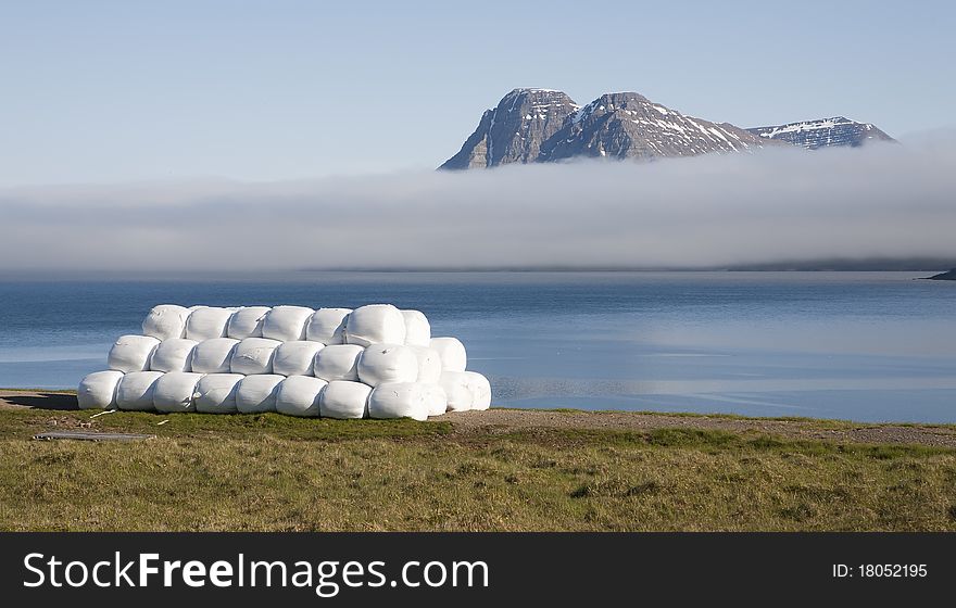 Gjogur is an old, renowned fishing hamlet at the head of the Reykjafjordur bay.