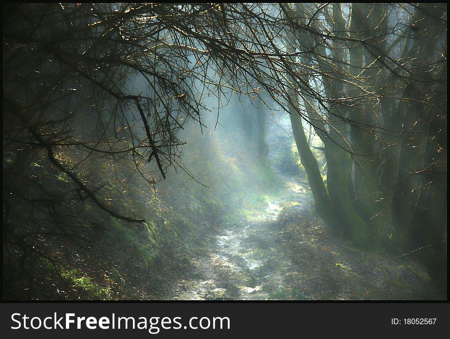 Mist and first rays of sunshine in the cold winter morning. Mist and first rays of sunshine in the cold winter morning
