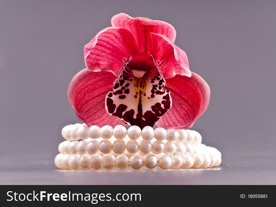 3 Strand Freshwater Pearl Bracelet and Orchid Bud for floral and romance concepts