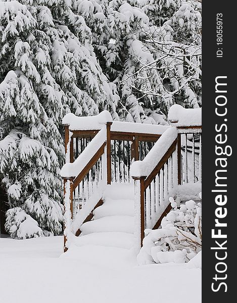 Winter scene featuring porch railings,steps,trees covered with snow. Winter scene featuring porch railings,steps,trees covered with snow.