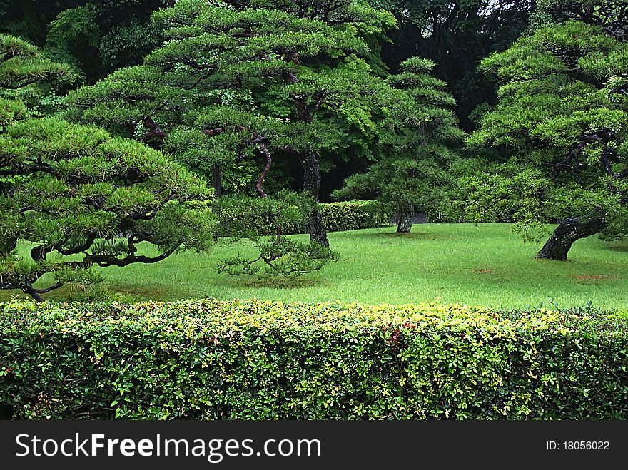 Around shinto shrine at Ise, Japan