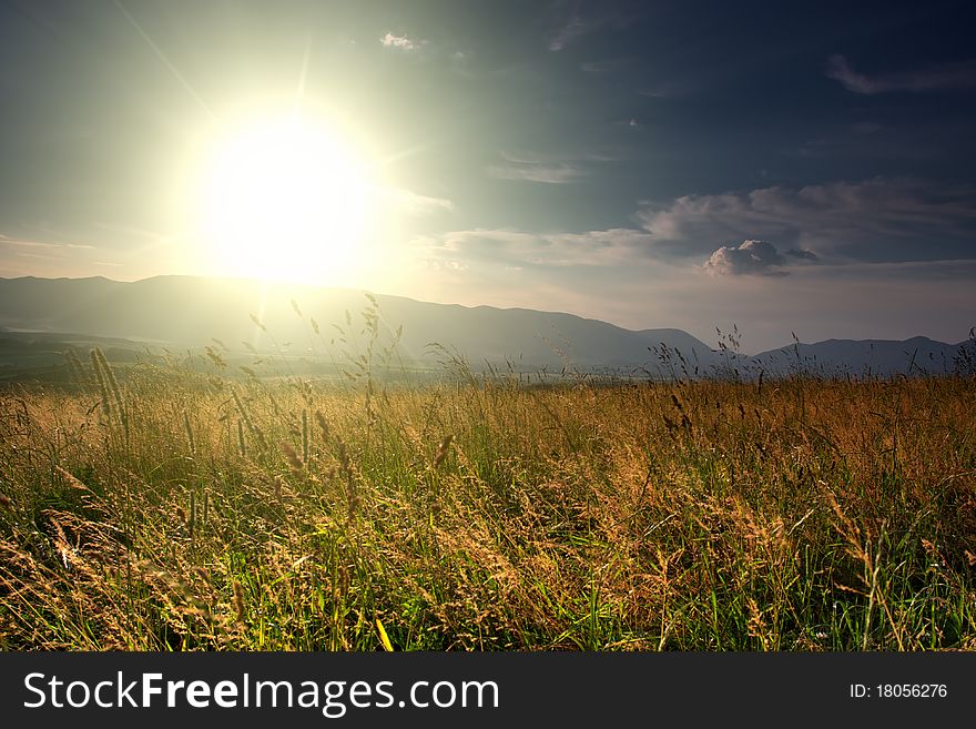 Summer landscape field of grass and sunset