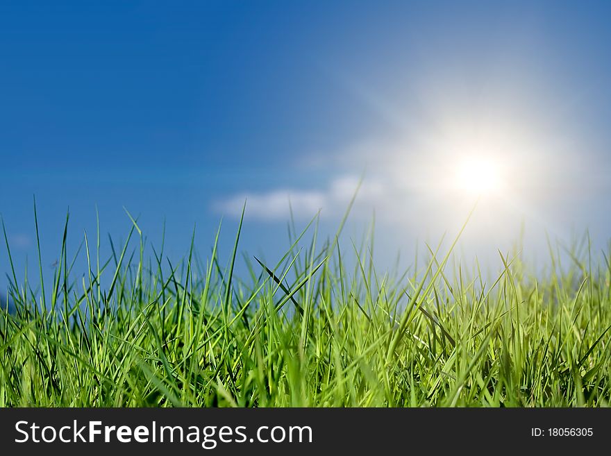 Green grass and sun in blue sky