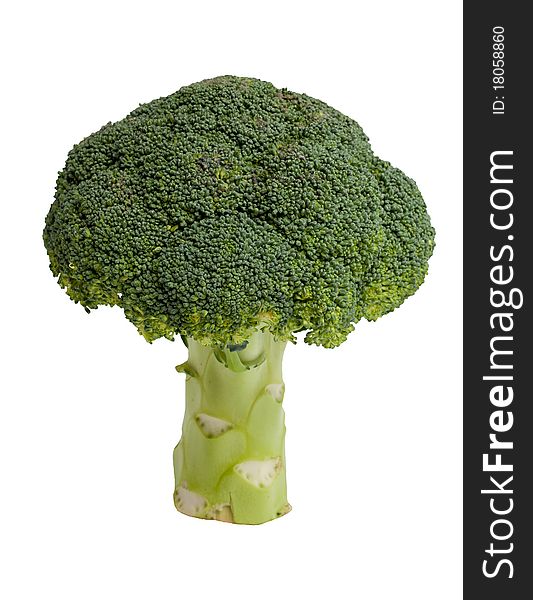 Broccoli isolated on white background