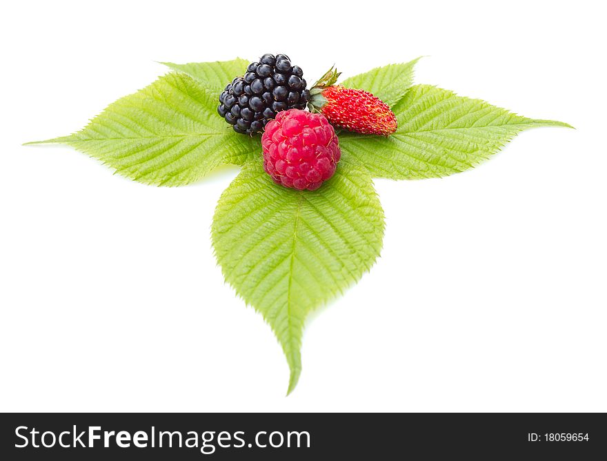 Strawberry, blackberry and raspberry on leaf, isolated on white