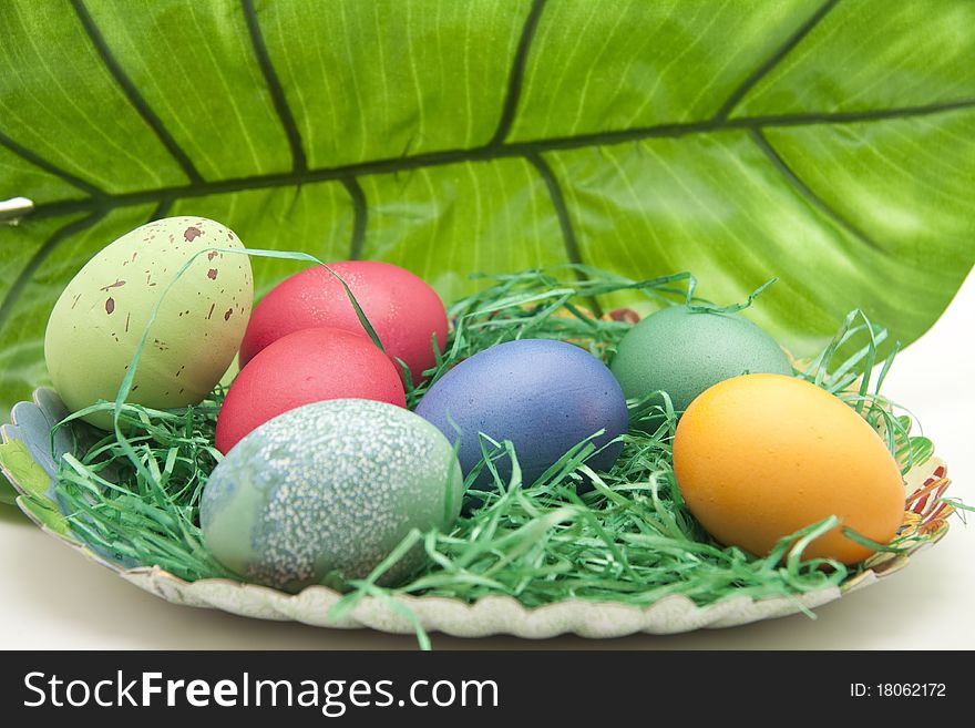 East Ernest with Colored Eggs and leaf