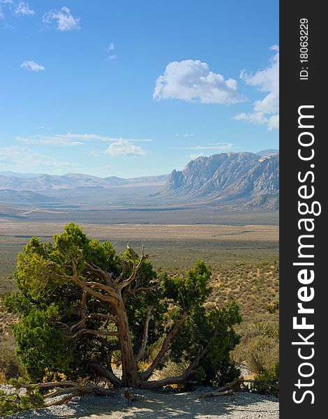 Red Rock Canyon National Park