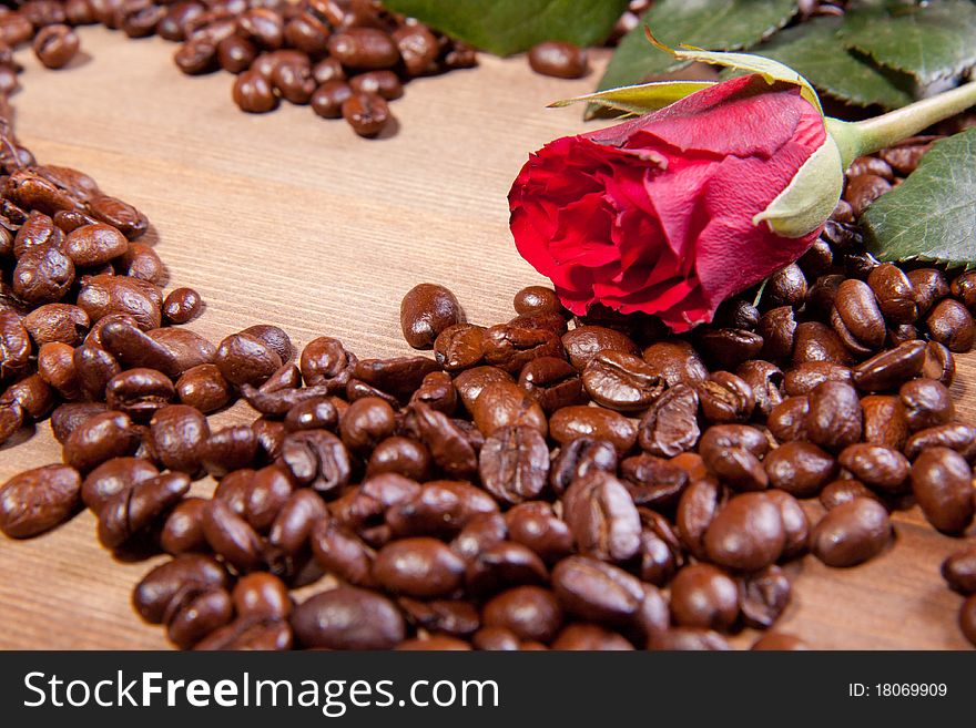 Beautiful red rose on the fragrant fried coffee beans as a heart. Beautiful red rose on the fragrant fried coffee beans as a heart