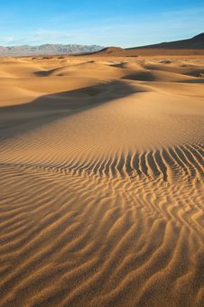 Mesquite Dunes Stock Image Mesquite Dunes Stock Image