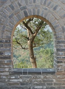 Tree In Archway Great Wall Royalty Free Stock Images Tree In Archway Great Wall Royalty Free Stock Images