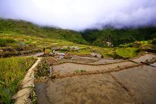 Rice Terraces Royalty Free Stock Photo Rice Terraces Royalty Free Stock Photo