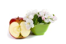 Ripe Red Apples And Apple-tree Blossoms Royalty Free Stock Photos Ripe Red Apples And Apple-tree Blossoms Royalty Free Stock Photos