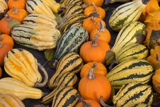Pumpkins Stock Images Pumpkins Stock Images