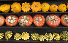 Pumpkins Royalty Free Stock Photo Pumpkins Royalty Free Stock Photo